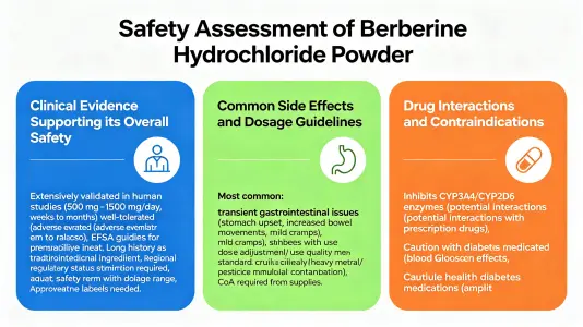 Evaluating the Safety Profile of Berberine HCL Powder