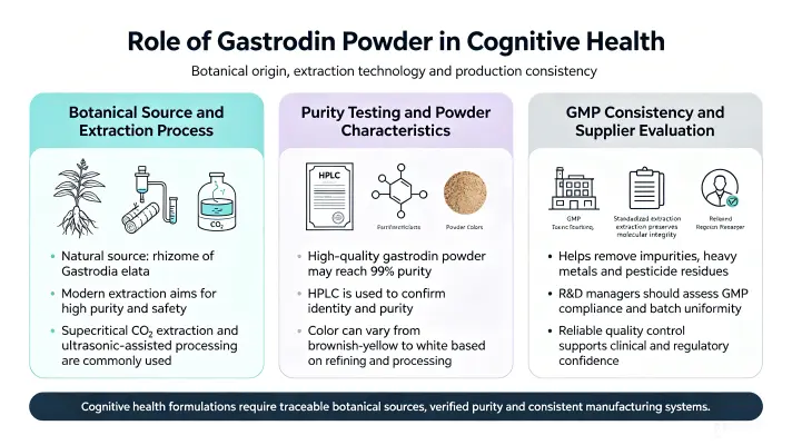 bGastrodin Powder Role in Cognitive Health bGastrodin Powder Role in Cognitive Health