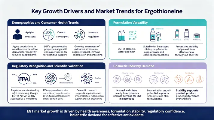 Key Growth Drivers and Market Trends Key Growth Drivers and Market Trends