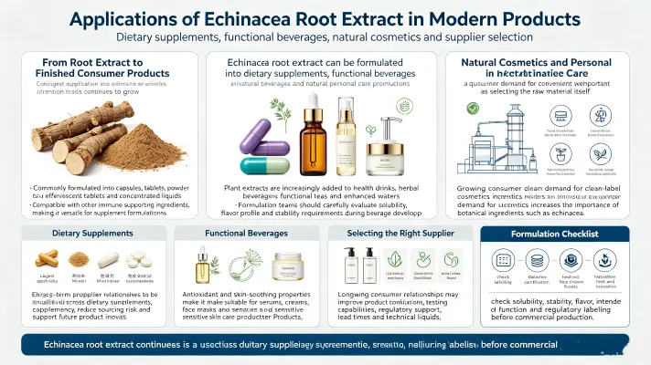 Applications of Echinacea Purpurea Root Extract in Modern Products Applications of Echinacea Purpurea Root Extract in Modern Products
