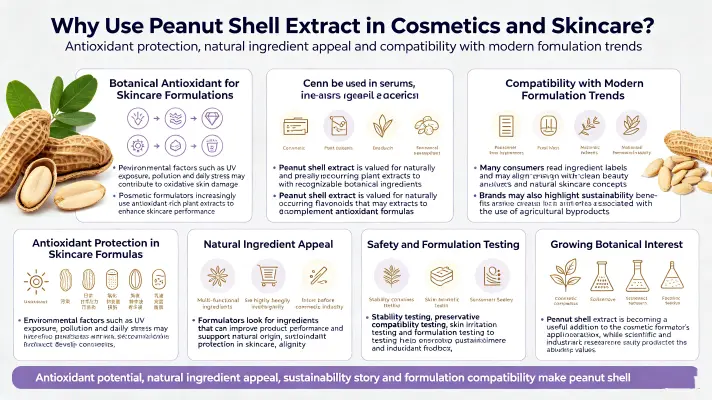 Why Is Peanut Shell Extract Used in Cosmetics and Skincare Products Why Is Peanut Shell Extract Used in Cosmetics and Skincare Products