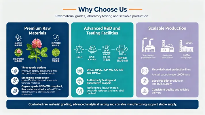 Why Choose Us 