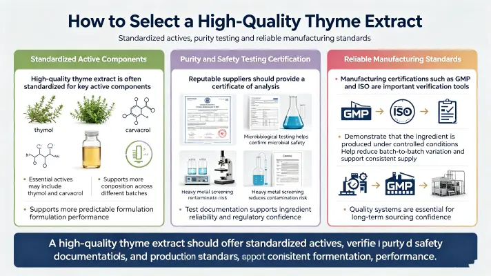 What Should You Look for in a High-Quality Thyme Extract What Should You Look for in a High-Quality Thyme Extract