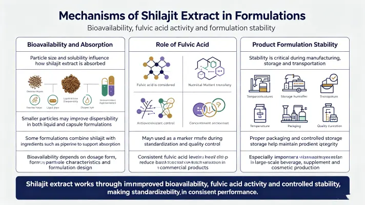 How Does Shilajit Extract Work in Formulations How Does Shilajit Extract Work in Formulations