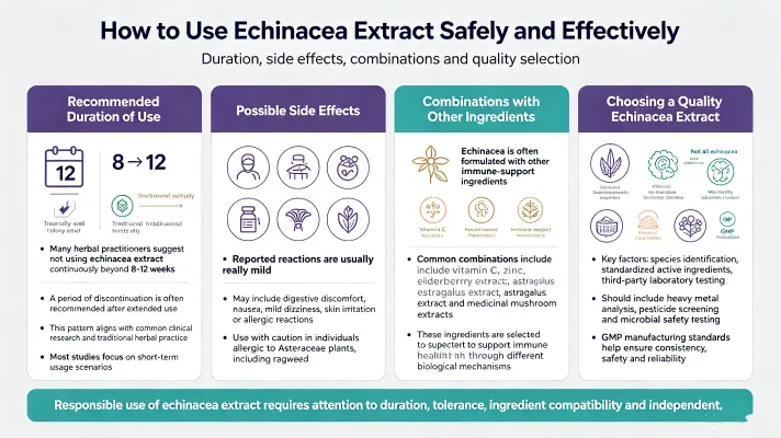 How to Use Echinacea Extract Safely and Effectively