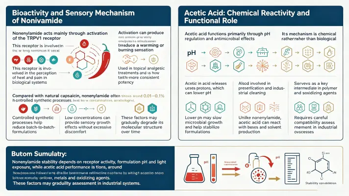 Functional Mechanisms and Stability Profiles Functional Mechanisms and Stability Profiles