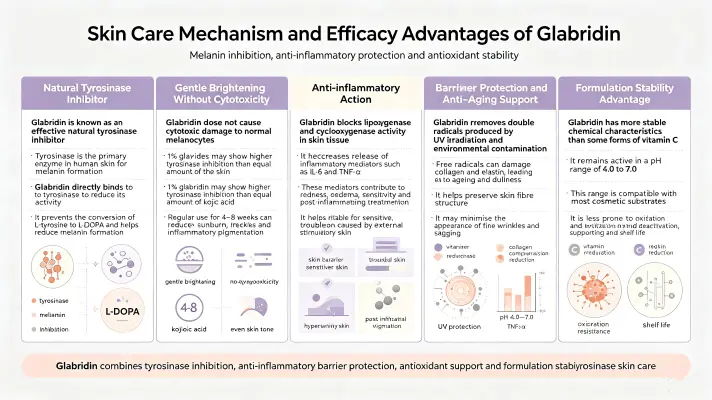 Skin Care Mechanism and Efficacy Advantages of Glabridin