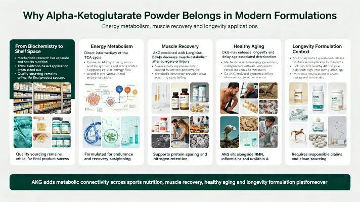 blog-1-1Why Alpha-Ketoglutarate Powder Belongs in Modern Formulations