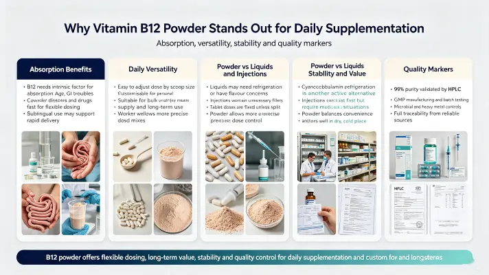 blog-1-1Why Vitamin B12 Powder Stands Out for Daily Supplementation