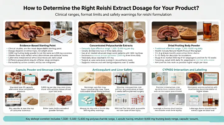 How to Determine the Right Reishi Extract Dosage for Your Product