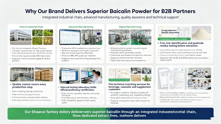 Why Our Brand Delivers Superior Baicalin Powder for B2B Partners Why Our Brand Delivers Superior Baicalin Powder for B2B Partners