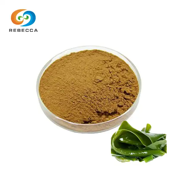 Laminaria Powder vs Kelp Extract: Between Two Seaweed-Based Cosmetic Raw Materials