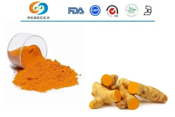 What Are The Benefits Of Curcumin?