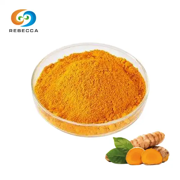 Turmeric vs Curcumin Extract: What Should Bulk Buyers Choose?