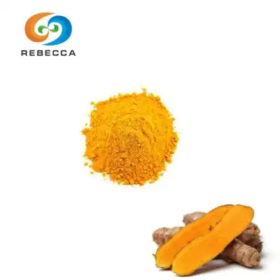 Mejor curcumina en polvo