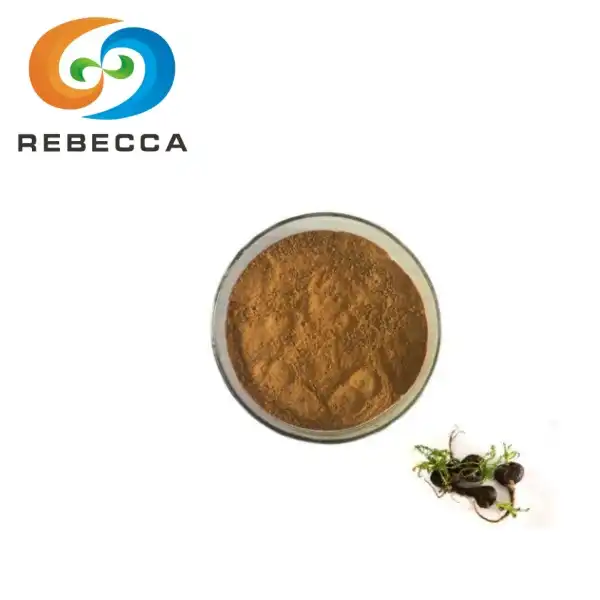 Extracto de raíz de maca en polvo