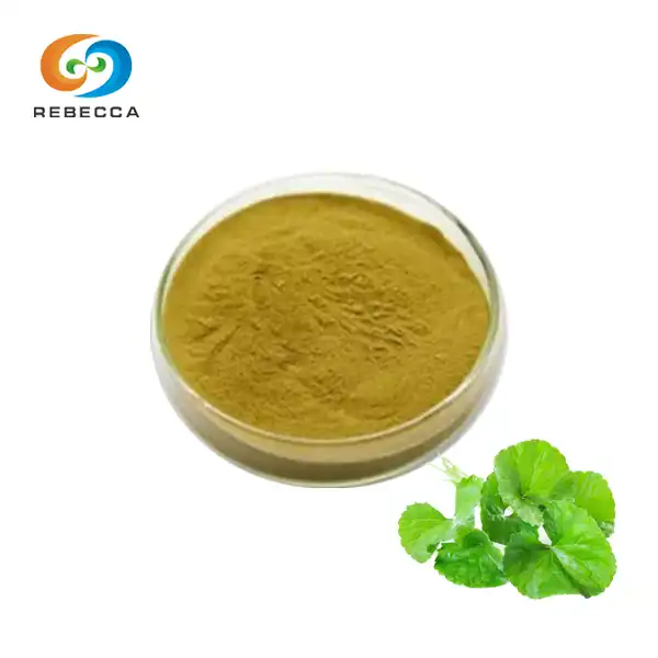 Gotu Kola Extract Powder Gotu Kola Extract Powder